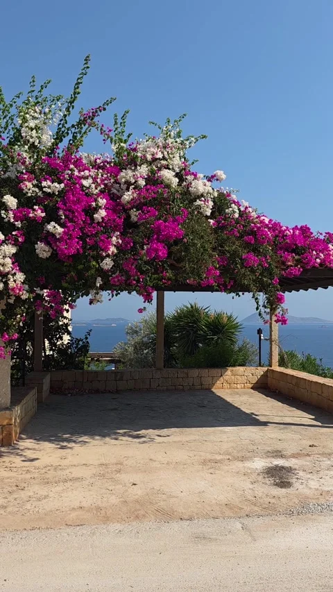 Kas, Turkey - August 23, 2026 Villa parking and sea view Stock Footage 345145374