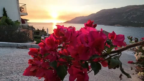 Kas, Turkey - August 29, 2026 Bougainvillea and sunset sea view Stock Footage 345138827