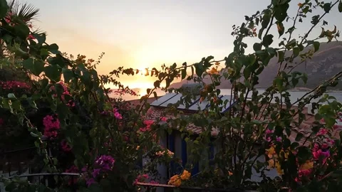 Kas, Turkey - August 29, 2026 Walking past flowers at sunset Stock Footage 345138846