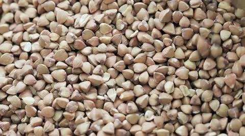 Kasha Scoop Video stock 11810160