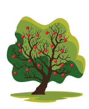 Kashmir apple tree isolated vector Stock Illustration