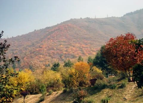 Kashmir india Stock Photos