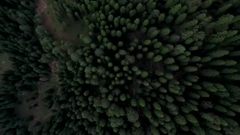 Kashmir Valley Drone Shot Stock Footage 164102064