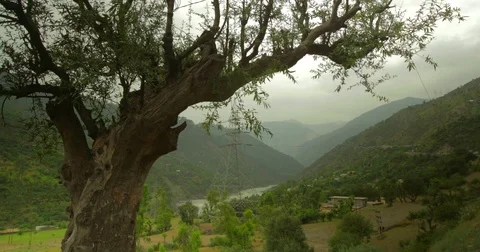 Kashmir Valley Time Lapse Stock Footage 72993196