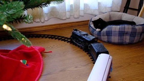 KAT and TRAIN Stock Footage 100366810