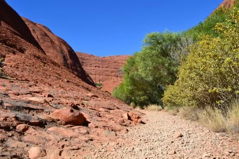 Kata tjuta track Stock Photos