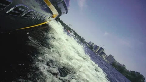 Kater Video stock 132709234