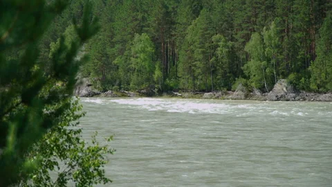 Katun River in Altai in the Summer Stock Footage 99016781