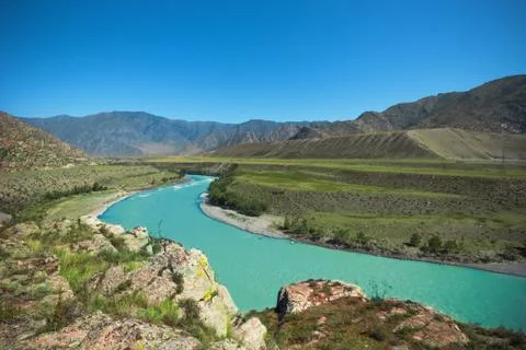 Katun river summer Foto stock
