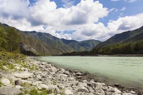 Katun river on a sunny summer day. Altai Republic. Russia Stock Photos