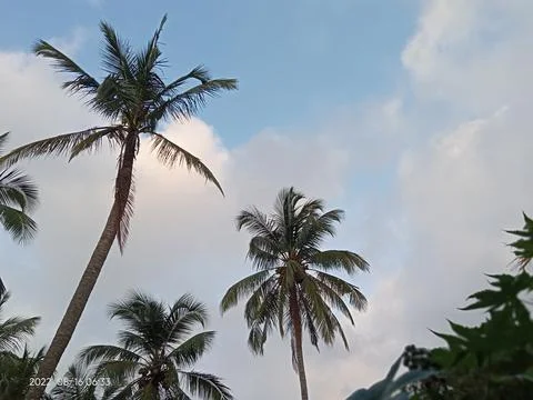 Katunayake Stock Photos