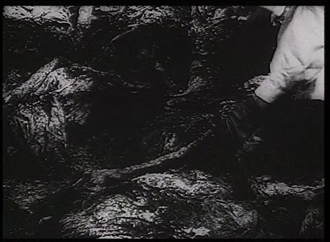 Katyn 1943 Forensic Examination Exhumed Remains Stock Footage 335526289