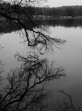 Katzensee lake reflections Stock Photos