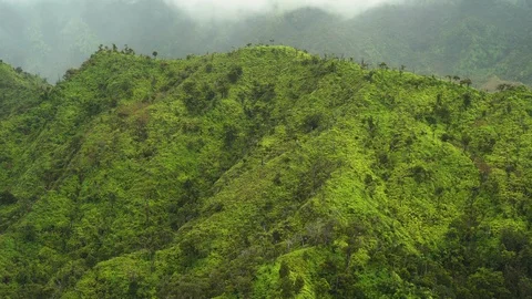 Kauai, mountains  Stock Footage 93569714
