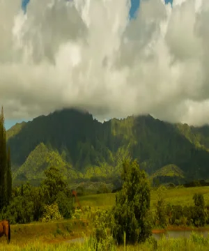 Kauai Mountains &amp; Thick Clouds Time Lapse 動画素材 34353527