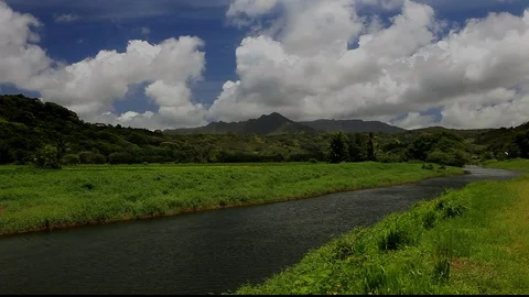 Kaua'i River Stream Stock Footage 104203737
