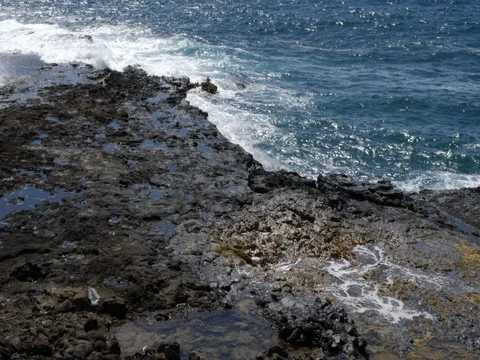 Kauai Spouting Horn 2 Stock Footage 80391652