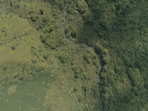 Kauai Valley &amp; Mountains 스톡 동영상 76479250