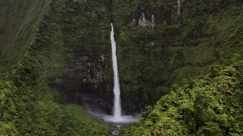 Kaua'i Waterfall and Cliffs Stock Footage 104200969