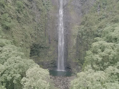Kauai Waterfall 스톡 동영상 76336847