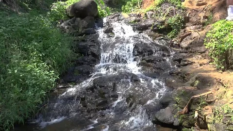 Kauai - waterfall at Queens Bath Stock Footage 74274812