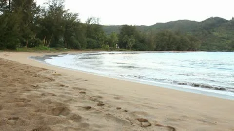 KauaiBeach Stock Footage 9455632