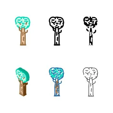 Kauri jungle amazon set color icon vector Stock Illustration