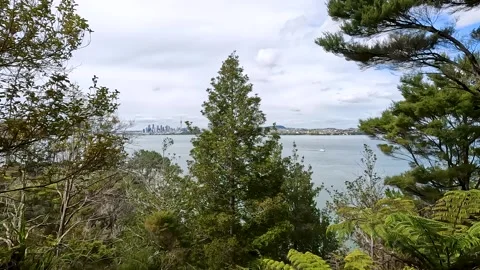 Kauri Point Centennial Park: Scenic Lookout Over Waitemata Harbour and Auck.. Stock Footage 284391411