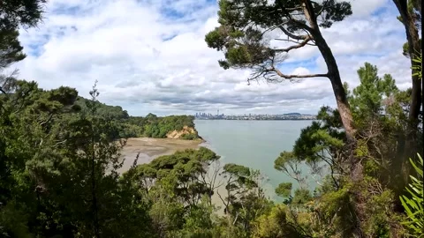 Kauri Point Centennial Park: Scenic Lookout Over Waitemata Harbour and Auck.. Stock Footage 284391469