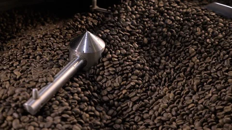 Kava1 Stock Footage 127386724