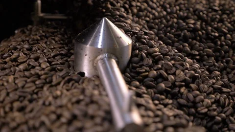 Kava2 Stock Footage 127415772