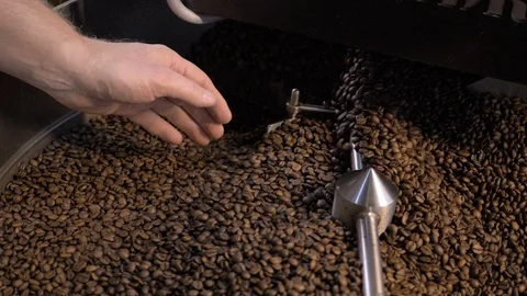 Kava6 Stock Footage 127423905