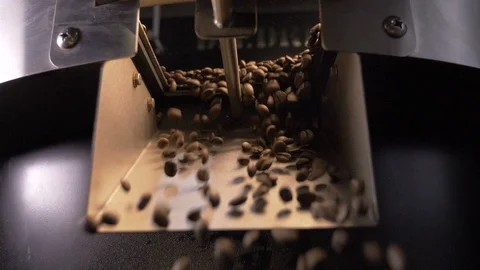 Kava9 Stock Footage 127422990