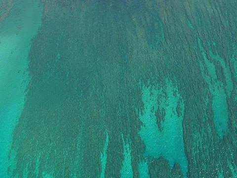 Kawaihae Harbor Stock-Footage 22243352