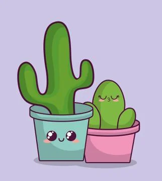 Kawaii cactus design Stock Illustration