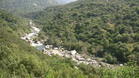 Kaweah River flows downstream through the rocks, creating whitewater rapids Stock Footage 360334