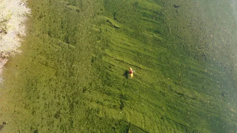 Kayak 1 Stock Footage 224920288