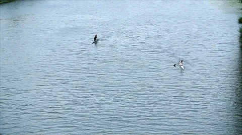 On Kayak and Canoe Stock Footage 40375150