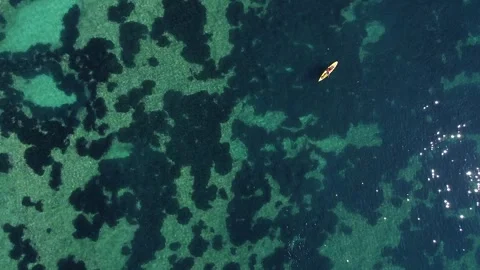 Kayak at the beach drone aerial view. Kayaker trolling fishing Видео 241237954