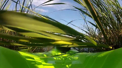 Kayak Being Pulled up into the marsh Video stock 27355769