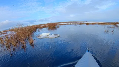 Kayak bow sails on river with sky reflection and melting ice Video stock 124455991