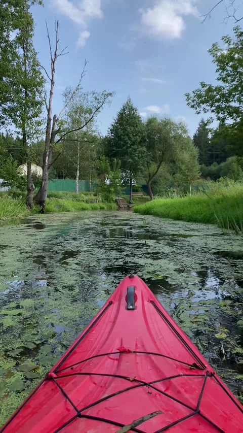 Kayak floating down a river with algae. Vertical video Stock Footage 282200768