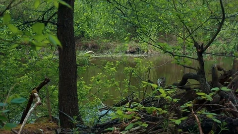 Kayak floats down the river Stock Footage 70809705