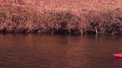 Kayak passing on river Stock Footage 47779245