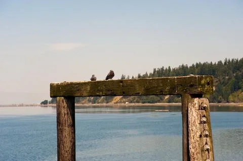 Kayak Point Stock Photos