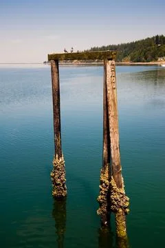 Kayak Point Stock Photos