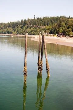 Kayak Point Stock Photos