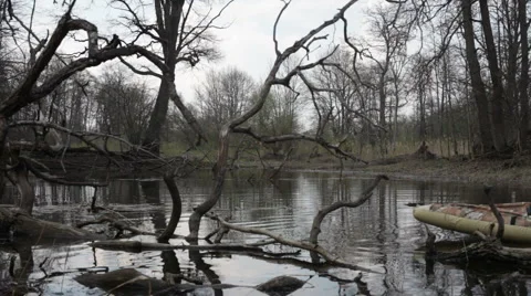 Kayak, river Video stock 5320698