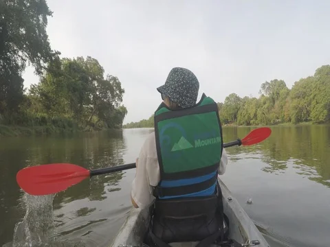 Kayak on River Paddle through Jungle shot behind rear view 库存影片 80704411