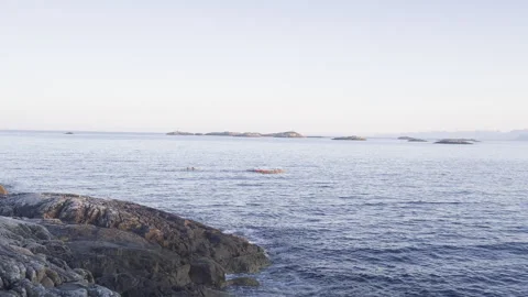 Kayak on sea sunset Stock Footage 283184890